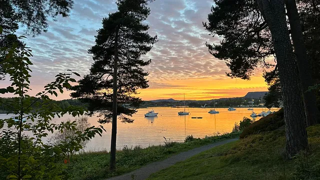 Solnedgang over vann med båter og trær.